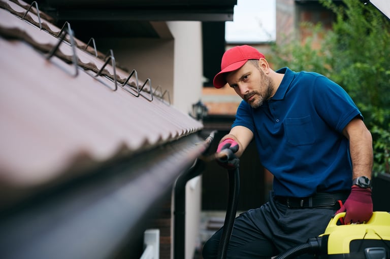 Professional gutter cleaning